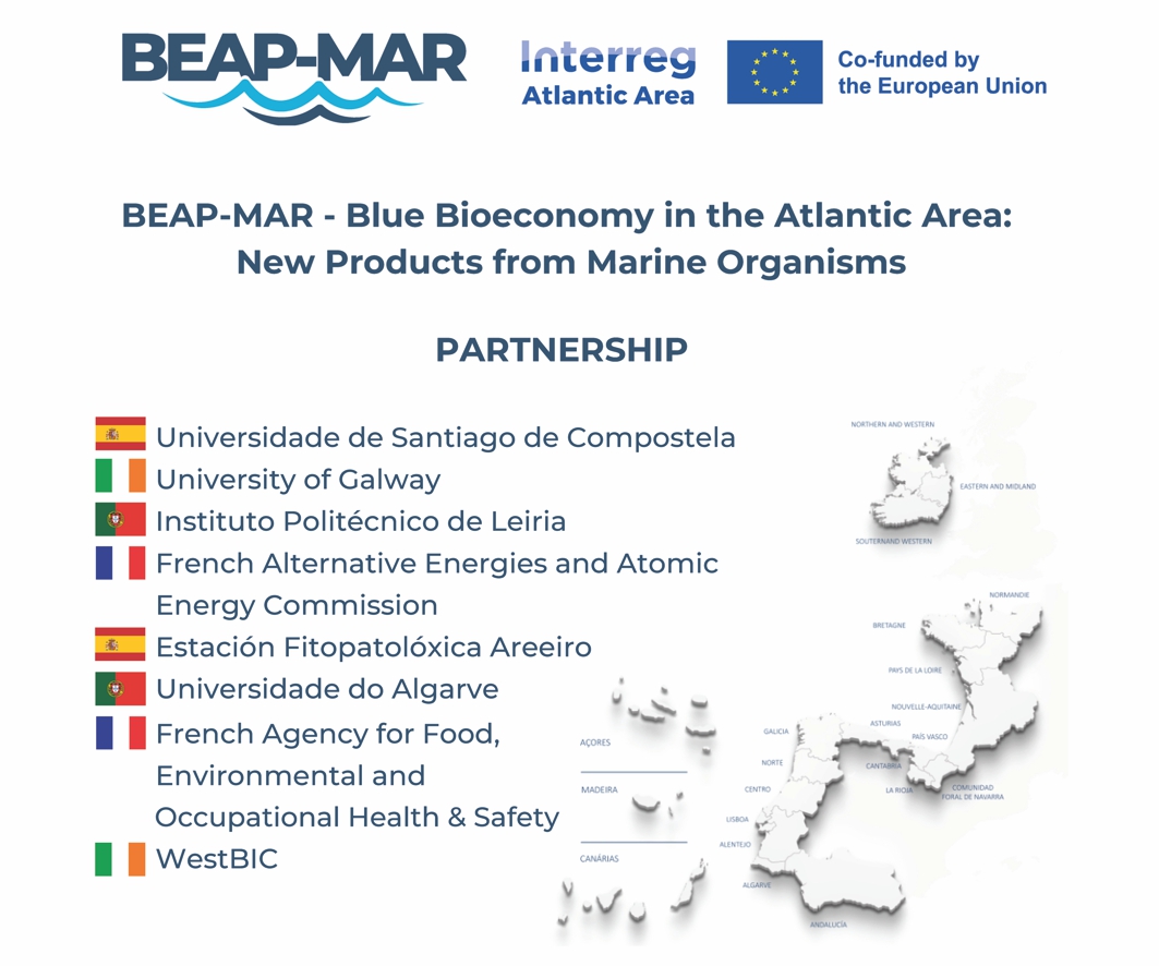 Blue Bioeconomy in the Atlantic Area: New Products from Marine Organisms